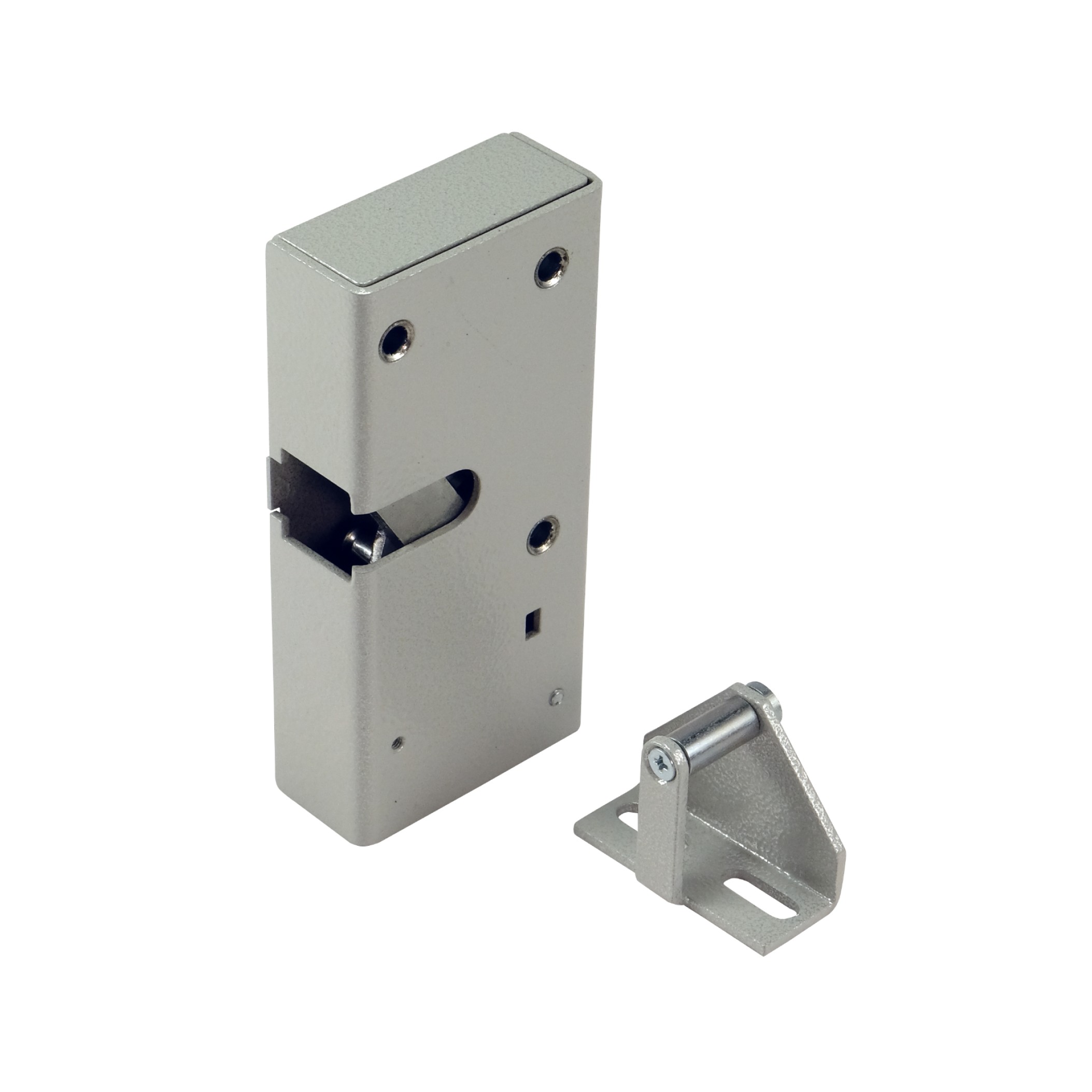 Promix-SM326.10.2-L silver