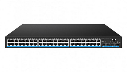 NS-SW-48G4G10-PL