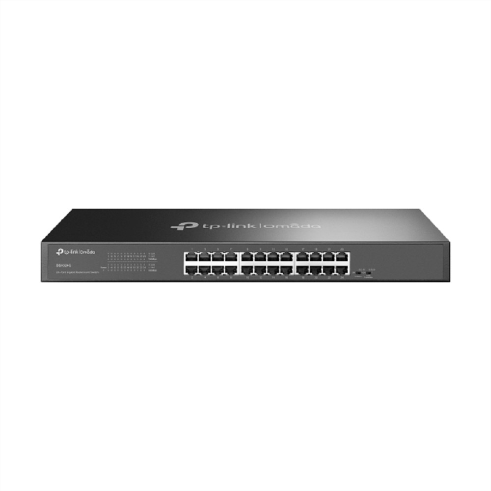TP-Link DS1024G