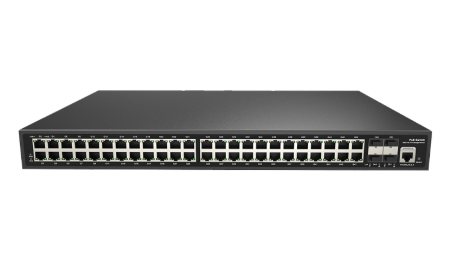 RVi-2NSM48G-4SP