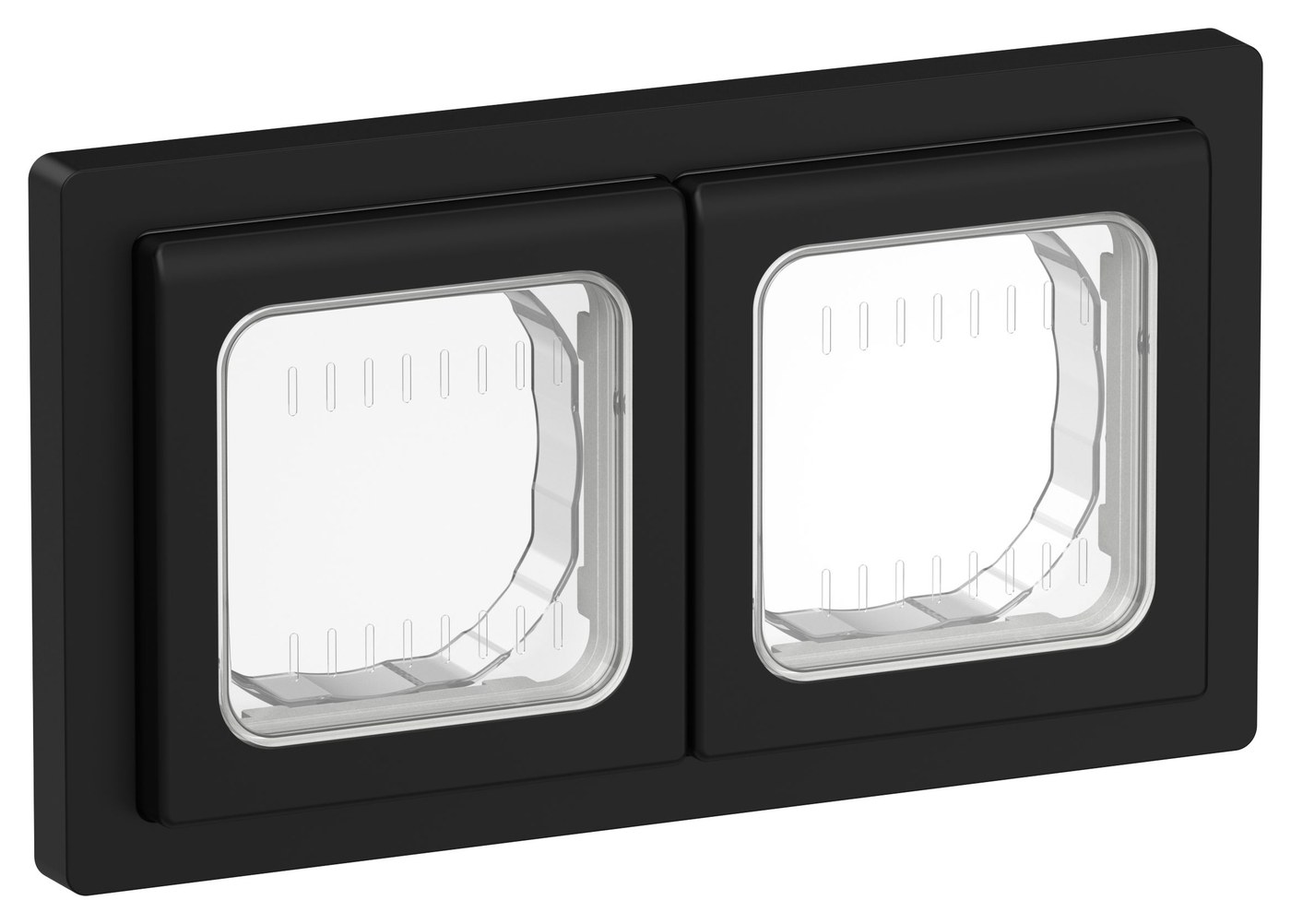 FLITE Рамка 2-местная IP55 Рпро-2-55-ФлЧ черный (FI-M20-32-55-K02)