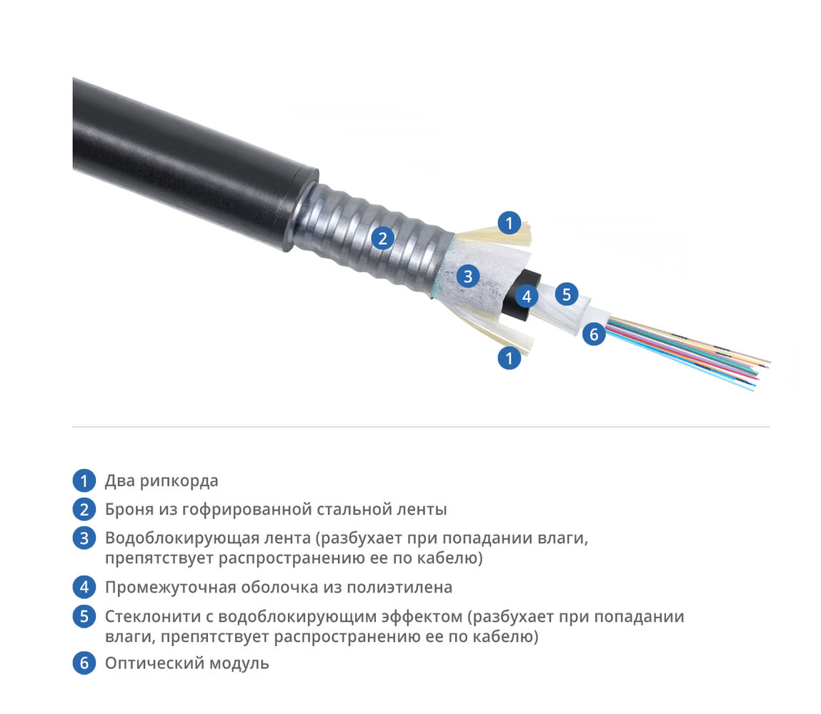 CLT-A-7-01х12-Z-PE-ARM-PE-DD-OUT-40 (12829c)