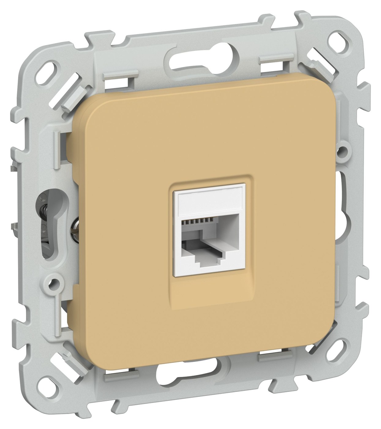 FLITE Розетка компьютерная RJ45 кат 5Е UTP РК5е-1-0-ФлШм скрытой установки шамуа (FI-K12-1-K89)