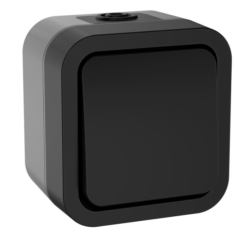 TORS Переключатель 1-клавишный TS101 открытой установки 10А IP55 графит (TS-V10-0-10-55-K53)