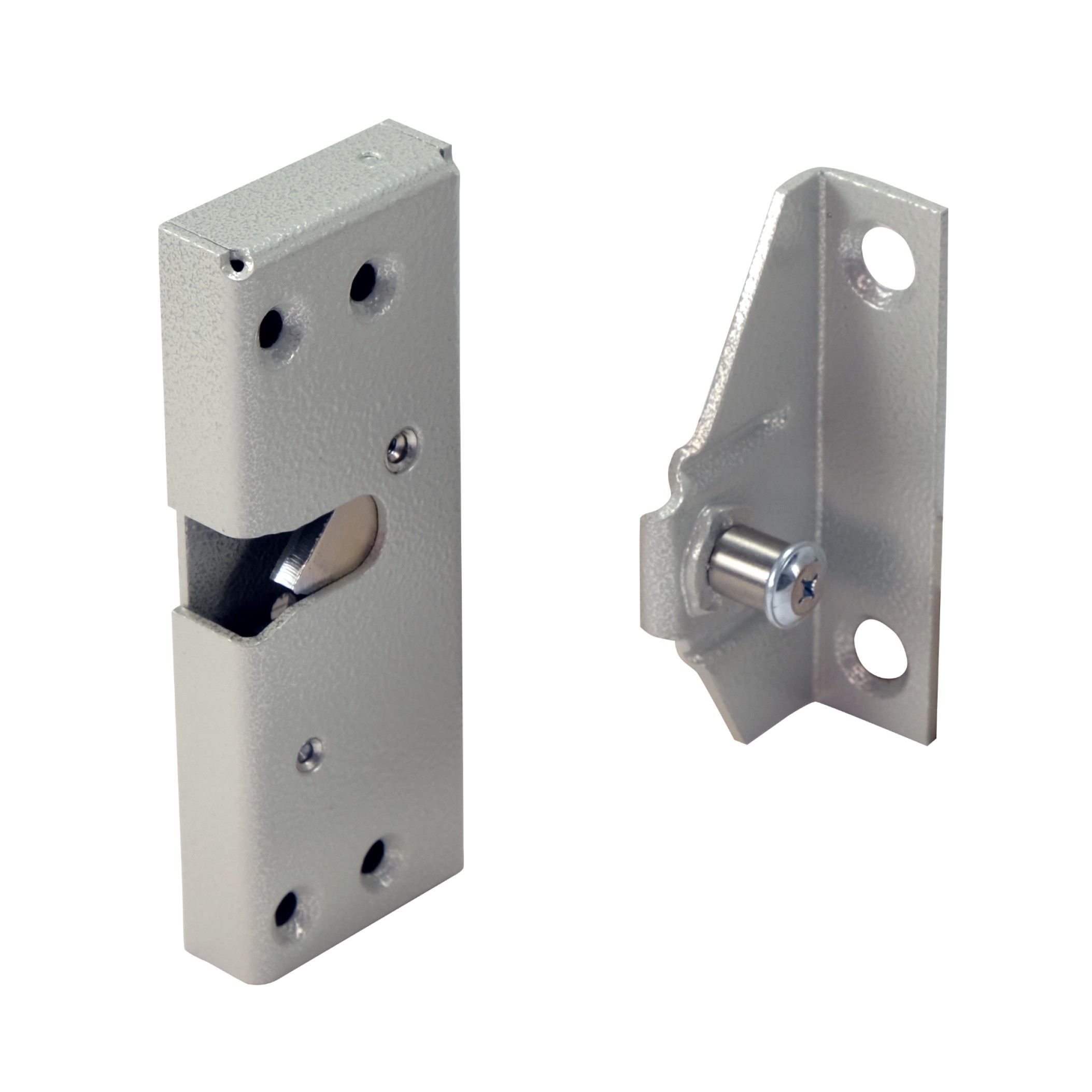 Promix-SM306.10 silver