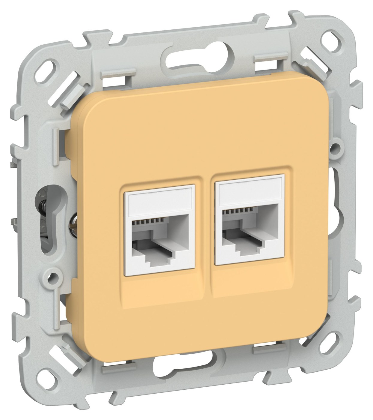 FLITE Розетка 2-местная компьютерная RJ45 кат 5Е UTP РК5е-2-0-ФлЗ золотарник(FI-K22-1-K90)