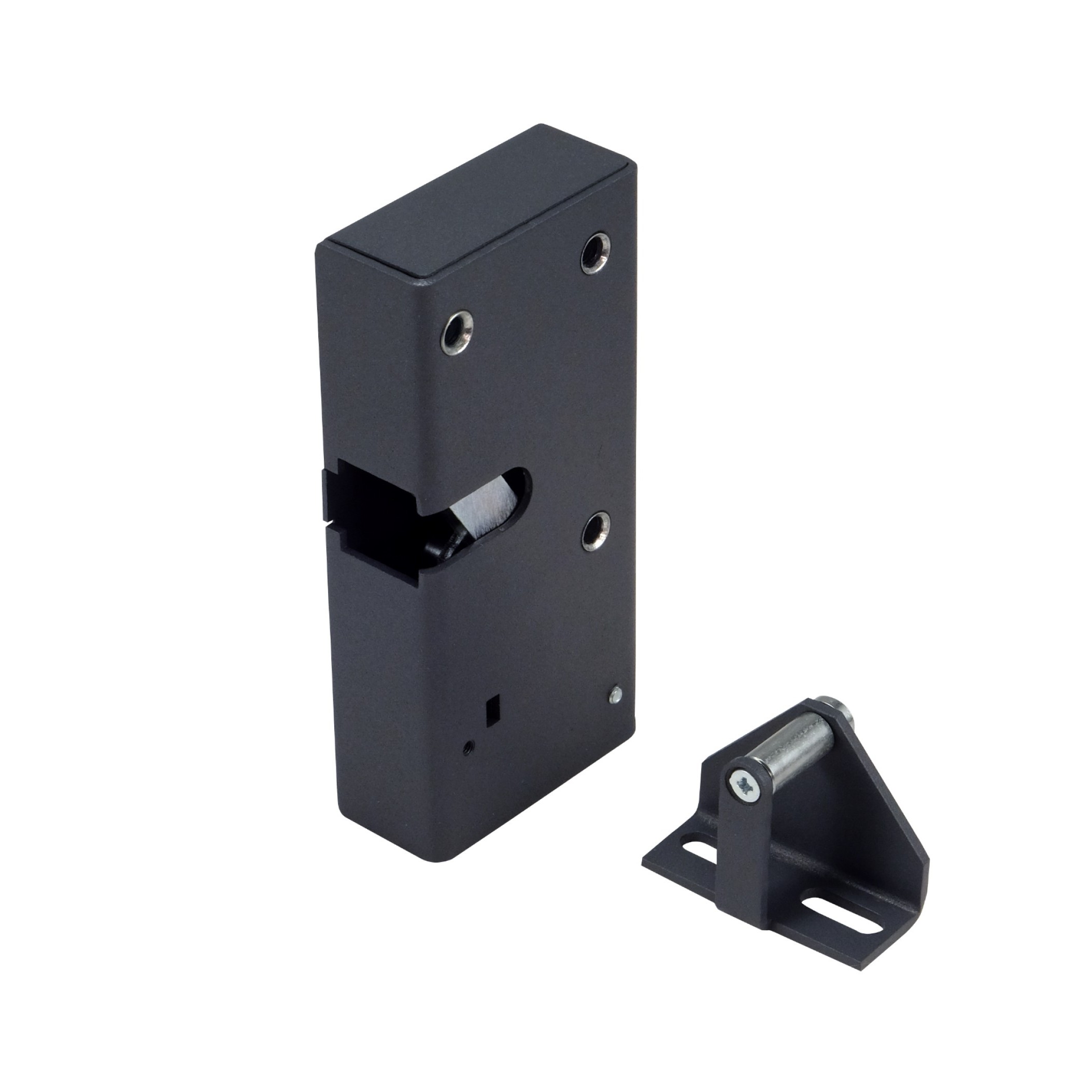 Promix-SM326.10.2-L graphite